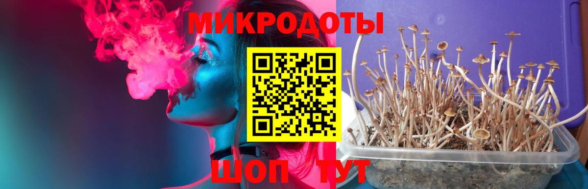 Псилоцибиновые грибы GOLDEN TEACHER Донецк